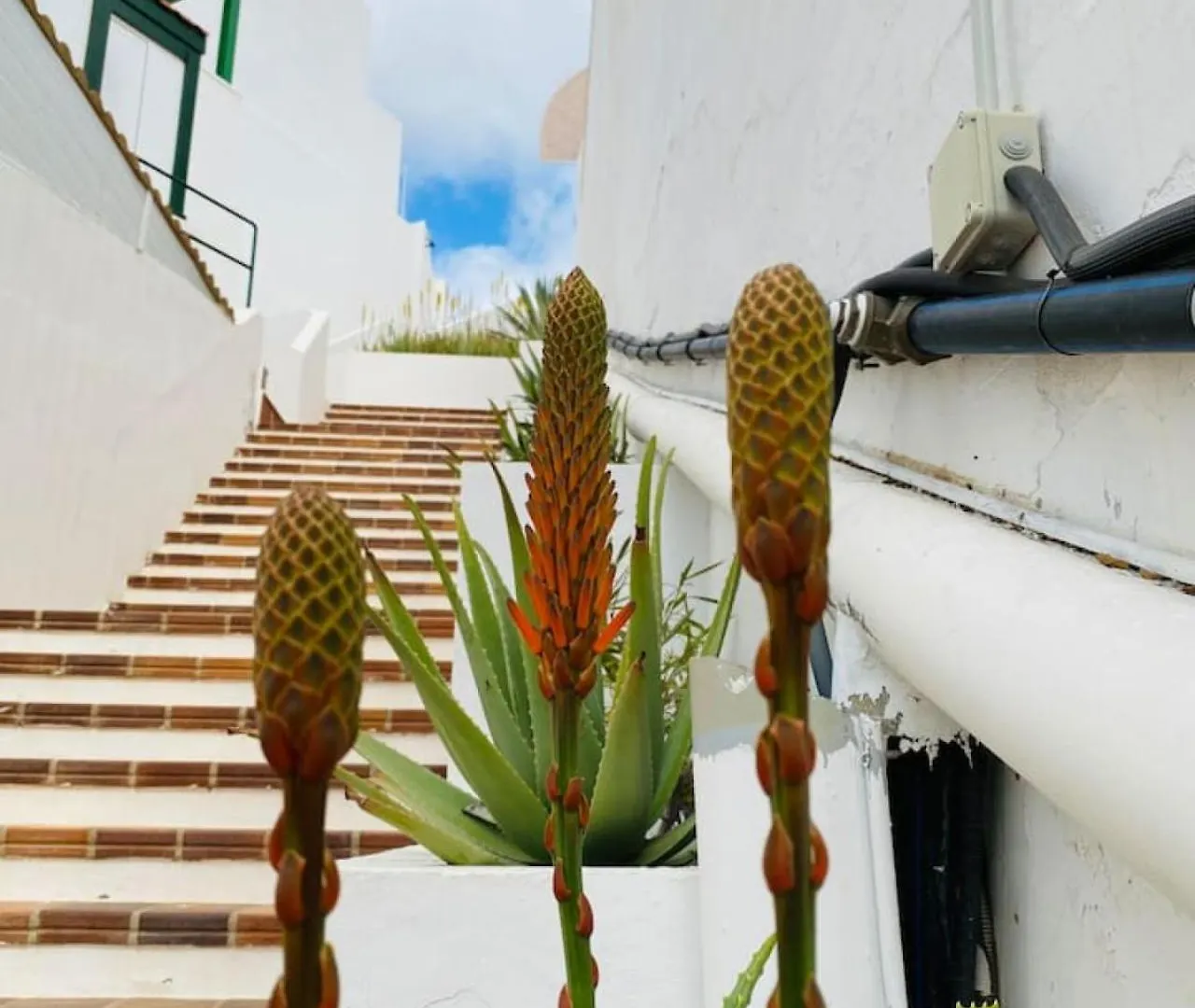 Tenerife.365 Atalaya Court II Sunset Ocean View Costa Adeje  Spain