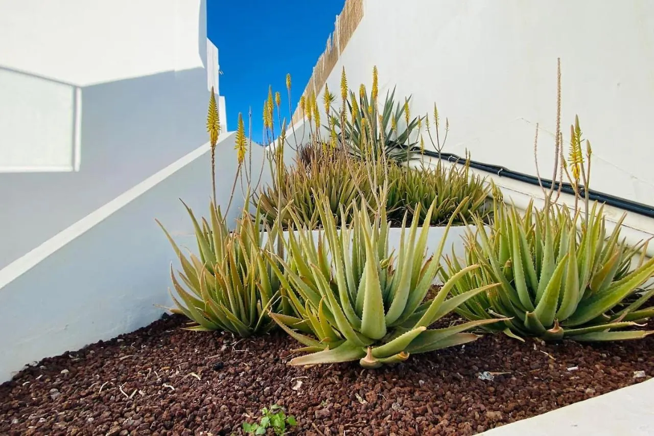 Tenerife.365 Atalaya Court II Sunset Ocean View Costa Adeje